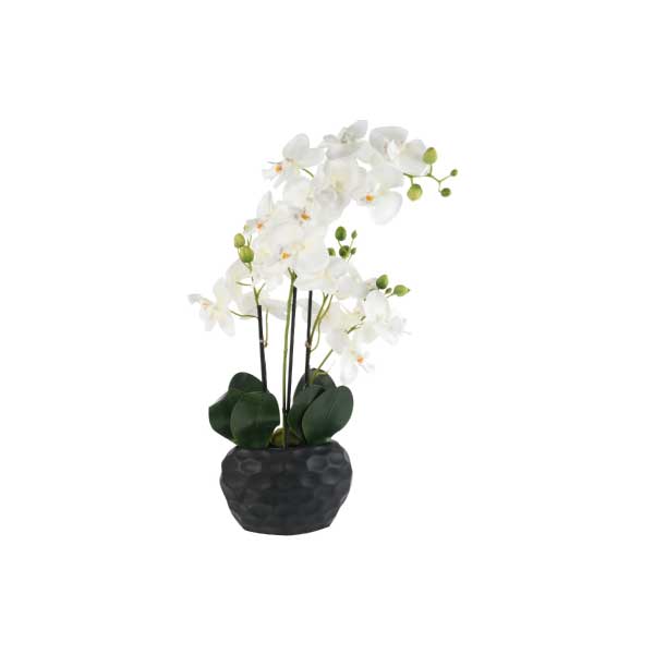 Orquidea - Mini flores artificiales de orquídeas en maceta, arreglos de  orquídeas, plantas artificiales con forma cuadrada blanca, maceta de  cerámica