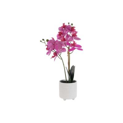 Orquídea rosada