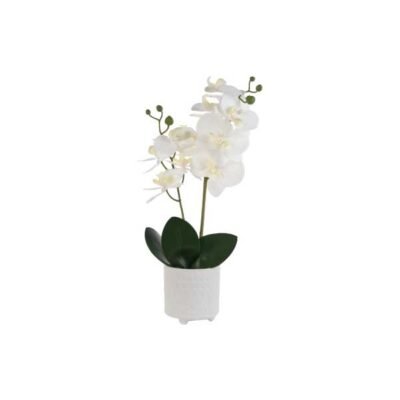 Orquídea blanca con maceta blanca