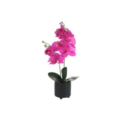 Orquídea rosada con maceta negra