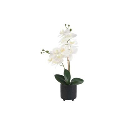 Orquídea blanca con maceta negra