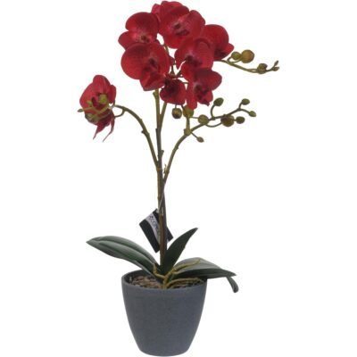 Orquídea roja con maceta gris